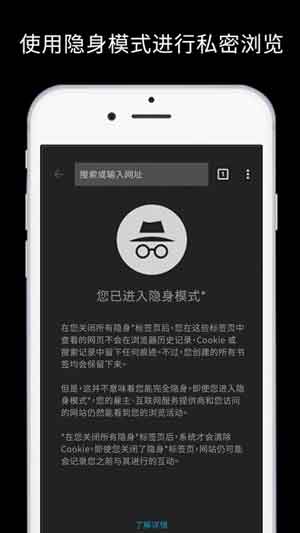 手机谷歌浏览器中文版下载