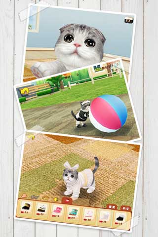 心动小猫ios单机游戏下载