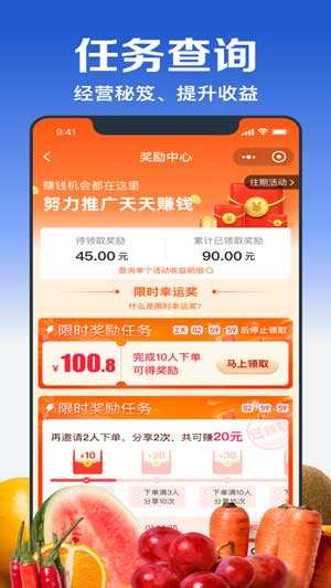 淘菜菜团长app软件下载