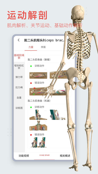 3Dbody解剖学手机版